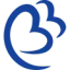 Blue Bird Airways